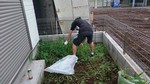 2@160824.JPG